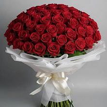 Букет 101 Красная роза Блэк Мэджик в Алексеевка Уфимский район