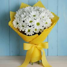 Букет цветов из:  Хризантемы в Алексеевка Уфимский район