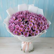 Букет цветов из:  Хризантемы в Алексеевка Уфимский район
