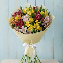 Букет цветов из:  Альстромерии в Алексеевка Уфимский район