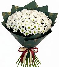Букет цветов из:  Хризантемы в Алексеевка Уфимский район