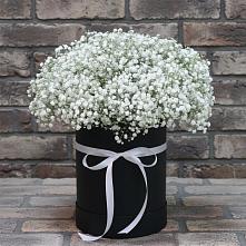 Цветочная композиция из Гипсофила в шляпной коробке в Алексеевка Уфимский район