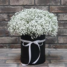 Цветочная композиция из Гипсофила в шляпной коробке в Алексеевка Уфимский район
