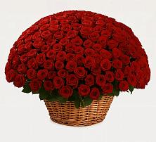 Премиум букет из: Розы в Алексеевка Уфимский район