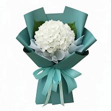 Букет цветов из:  Гортензия в Алексеевка Уфимский район